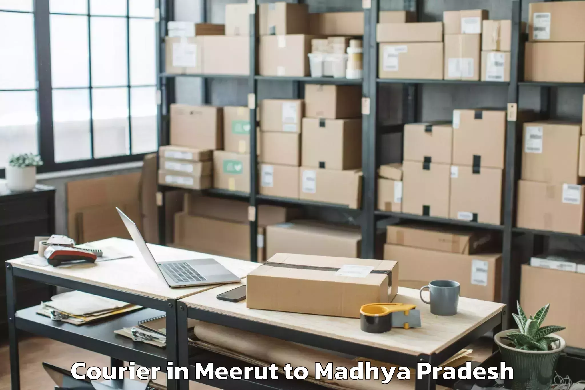 Top Meerut to Gwalior Gird Courier Available